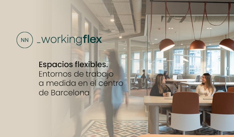 763x447px espaciosflex